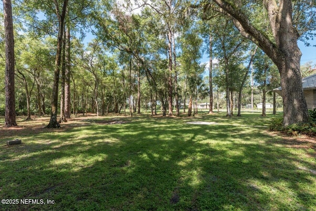 101 Roberts Ct, Palatka, FL 32177 - photo 4