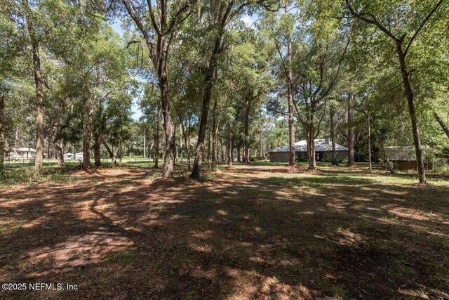 101 Roberts Ct, Palatka, FL 32177 - photo 17