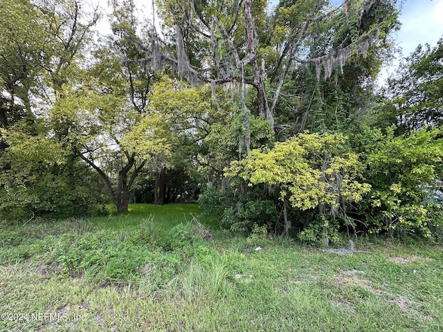 661 W Madison St, Starke, FL 32091 - photo 2
