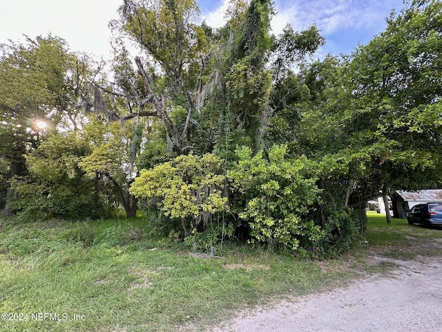 661 W Madison St, Starke, FL 32091 - photo 3
