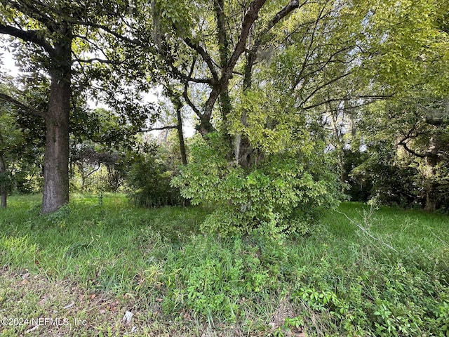 661 W Madison St, Starke, FL 32091 - photo 5