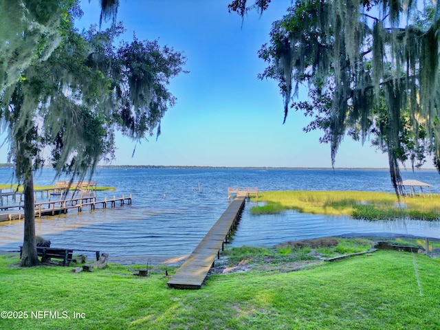 20943 NE 101st Ave, Earleton, FL 32631 - photo 12