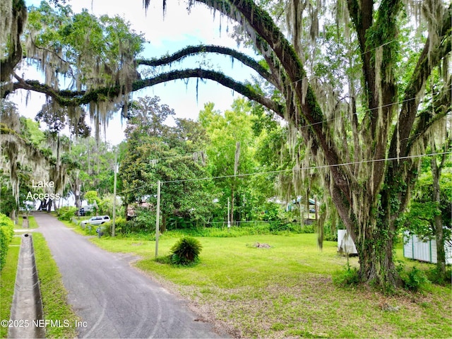 20943 NE 101st Ave, Earleton, FL 32631 - photo 26