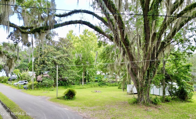 20943 NE 101st Ave, Earleton, FL 32631 - photo 31