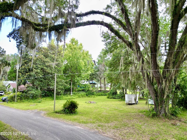 20943 NE 101st Ave, Earleton, FL 32631 - photo 38