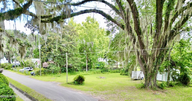 20943 NE 101st Ave, Earleton, FL 32631 - photo 39