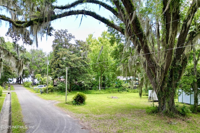 20943 NE 101st Ave, Earleton, FL 32631 - photo 41