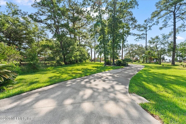 1163 Eagle Bend Ct, Jacksonville, FL 32226 - photo 44