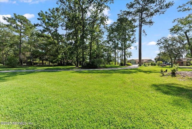 1163 Eagle Bend Ct, Jacksonville, FL 32226 - photo 45