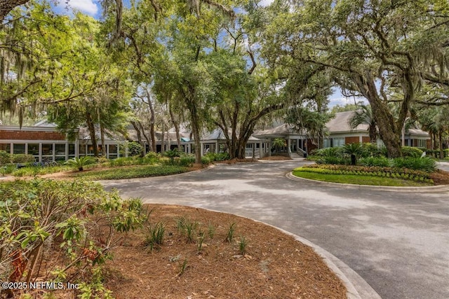 2317 Boxwood Ln, Fernandina Beach, FL 32034 - photo 37
