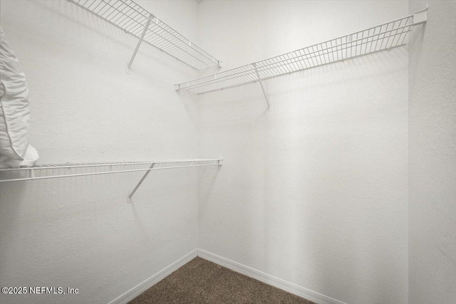 13703 Richmond Park Dr N Unit 3203, Jacksonville, FL 32224 - photo 24