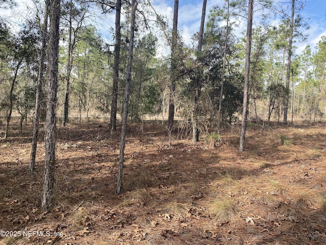 LOT20 SW Buena Vista Rd SW, Dunnellon, FL 34431 - photo 1