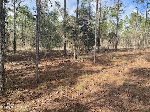LOT20 SW Buena Vista Rd SW, Dunnellon, FL 34431 - photo 3