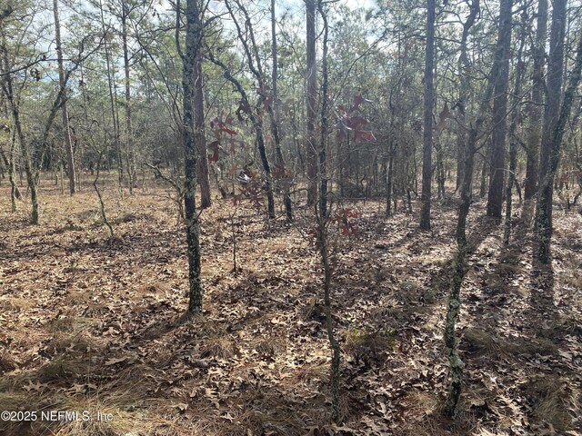 LOT20 SW Buena Vista Rd SW, Dunnellon, FL 34431 - photo 4