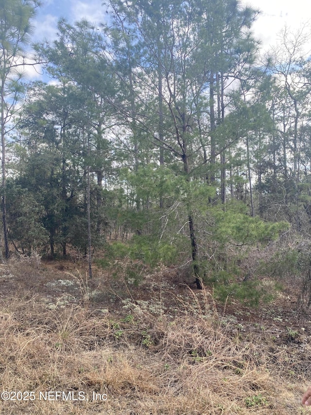 LOT20 SW Buena Vista Rd SW, Dunnellon, FL 34431 - photo 5