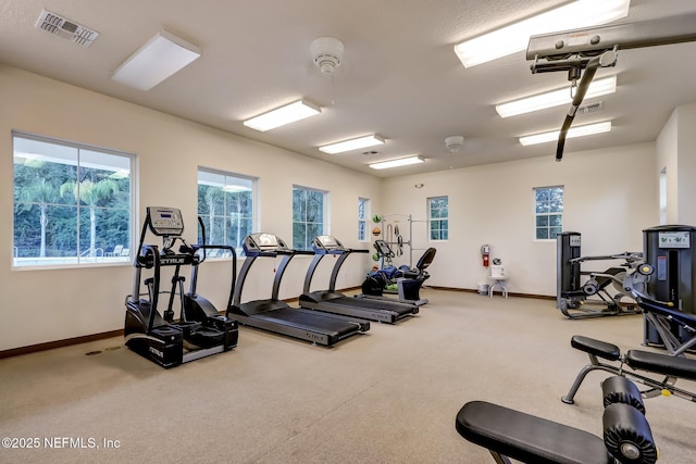 15811 Jim Ct, Jacksonville, FL 32218 - photo 46