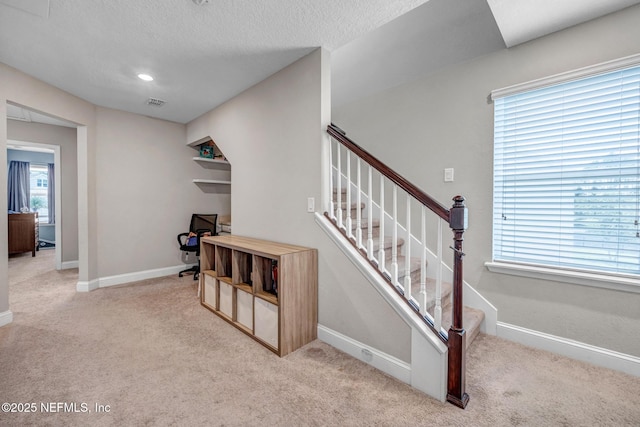 204 Silver Creek Pl, Saint Augustine, FL 32095 - photo 16