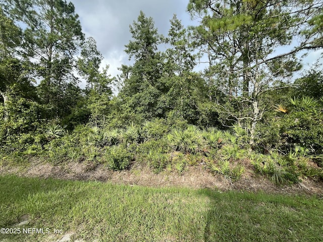 3340 Usina Rd, Saint Augustine, FL 32084 - photo 5