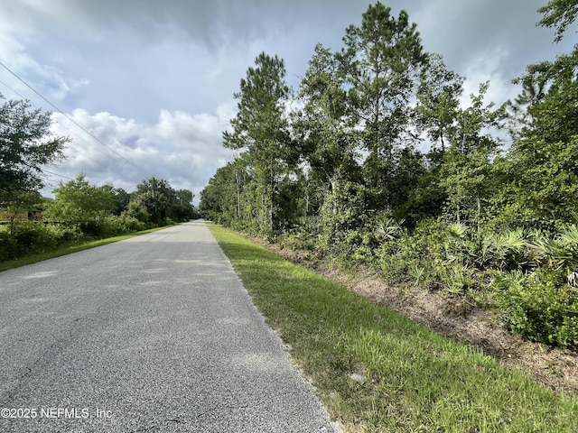 3340 Usina Rd, Saint Augustine, FL 32084 - photo 7
