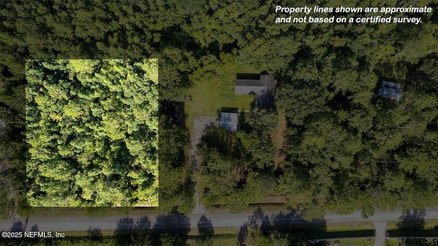 3340 Usina Rd, Saint Augustine, FL 32084 - photo 3