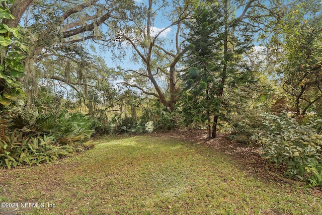 509 F St, Saint Augustine, FL 32080 - photo 32