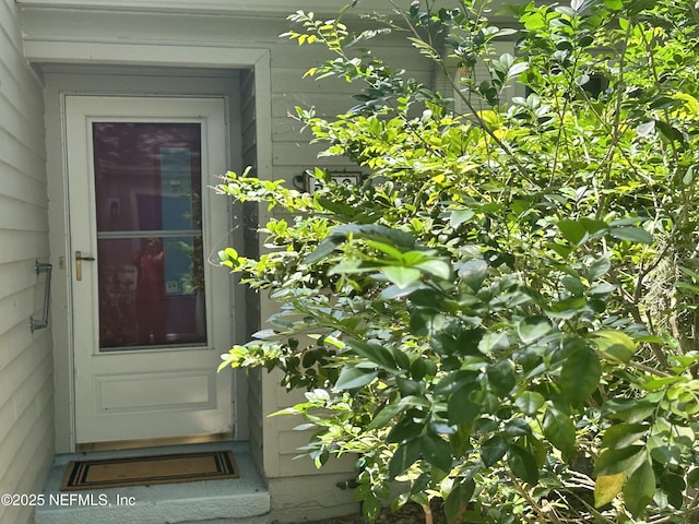 509 F St, Saint Augustine, FL 32080 - photo 5