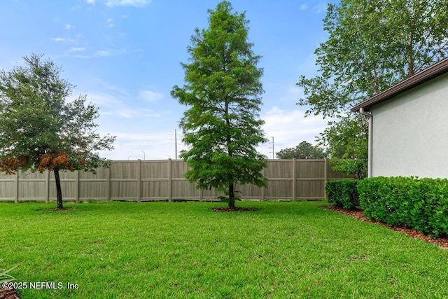 15014 Venosa Cir, Jacksonville, FL 32258 - photo 44