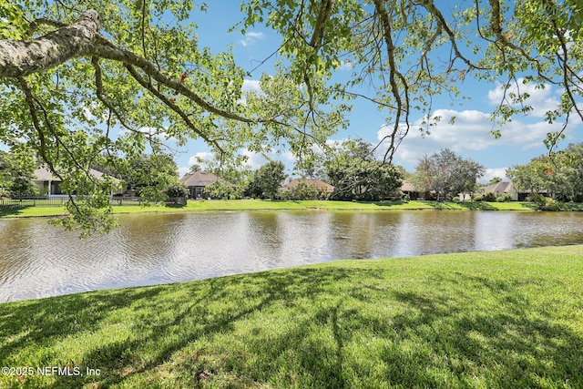 1411 Dahoon Way, Fleming Island, FL 32003 - photo 45