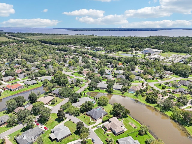 1411 Dahoon Way, Fleming Island, FL 32003 - photo 54