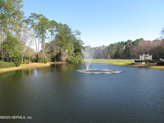 1411 Dahoon Way, Fleming Island, FL 32003 - photo 71