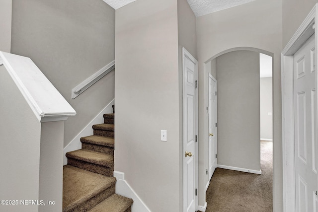 5260 Collins Rd Unit 1305, Jacksonville, FL 32244 - photo 10