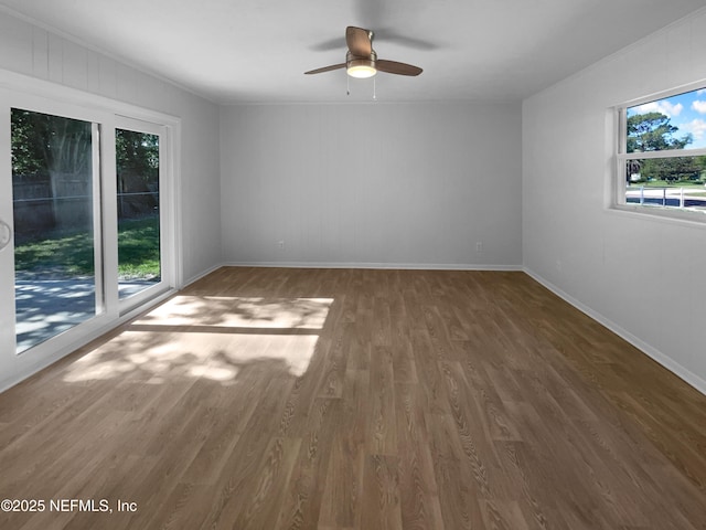 2360 Leonid Rd, Jacksonville, FL 32218 - photo 3