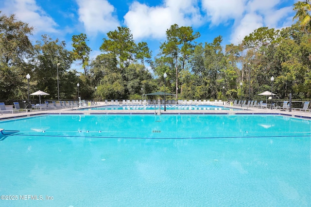1477 Greenway Pl, Fleming Island, FL 32003 - photo 40