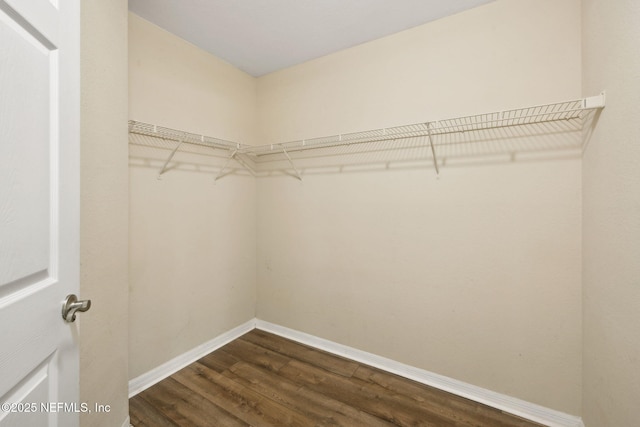 10150 Belle Rive Blvd Unit 2809, Jacksonville, FL 32256 - photo 17