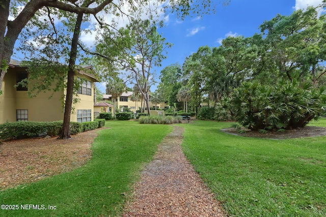 10150 Belle Rive Blvd Unit 2809, Jacksonville, FL 32256 - photo 41