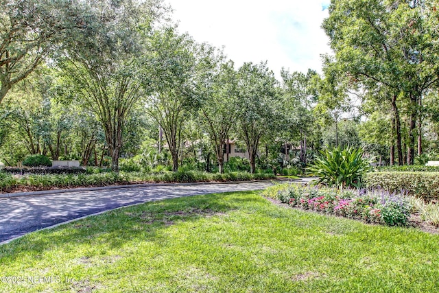 10150 Belle Rive Blvd Unit 2809, Jacksonville, FL 32256 - photo 45