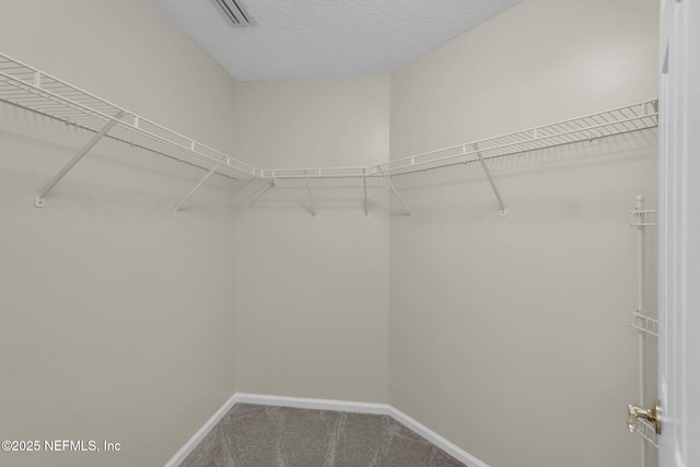 4541 Comanche Trail Blvd, Saint Johns, FL 32259 - photo 27