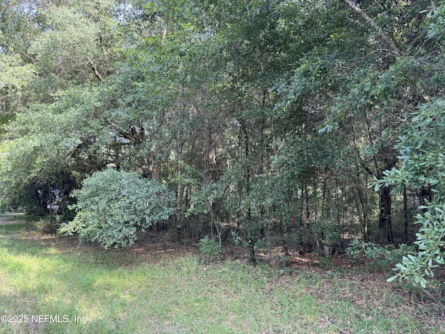 123 Velvet St, Interlachen, FL 32148 - photo 3