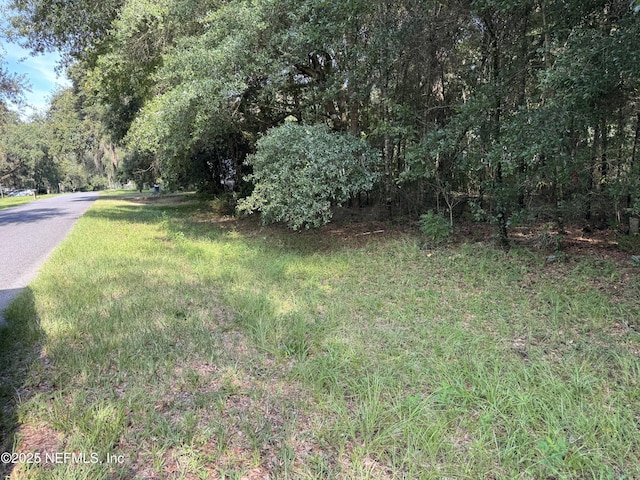 123 Velvet St, Interlachen, FL 32148 - photo 1