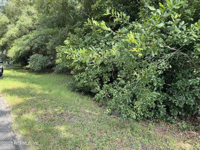 123 Velvet St, Interlachen, FL 32148 - photo 5