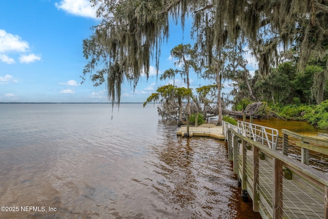 561 Kendall Crossing Dr, Saint Johns, FL 32259 - photo 72