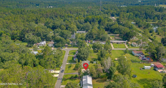 365 Delmonte St, Baldwin, FL 32234 - photo 9