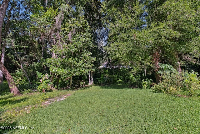 5210 River Park Villas Dr, Saint Augustine, FL 32092 - photo 69