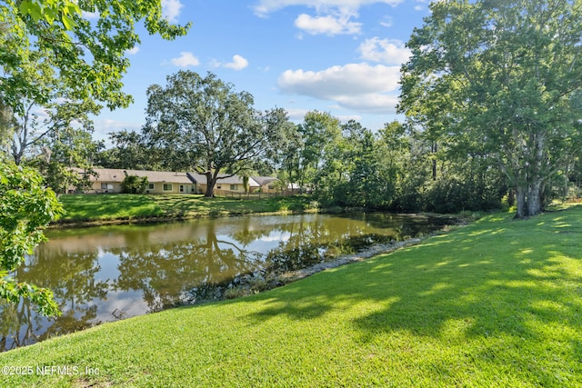 11433 Glenn Mottin Way N, Jacksonville, FL 32223 - photo 27