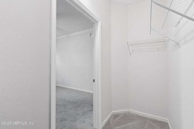 7801 Point Meadows Dr Unit 5309, Jacksonville, FL 32256 - photo 35