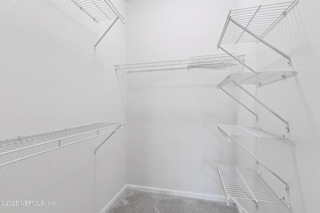7801 Point Meadows Dr Unit 5309, Jacksonville, FL 32256 - photo 26
