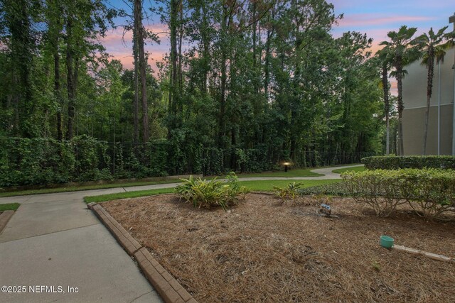 7801 Point Meadows Dr Unit 5309, Jacksonville, FL 32256 - photo 50