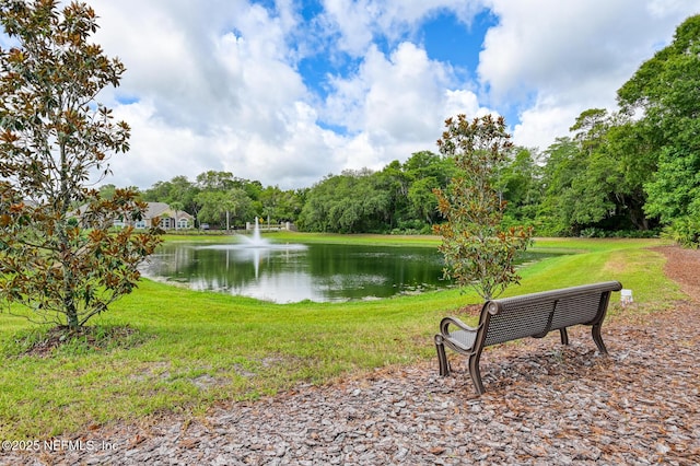 26 Amacano Ln, Saint Augustine, FL 32084 - photo 53