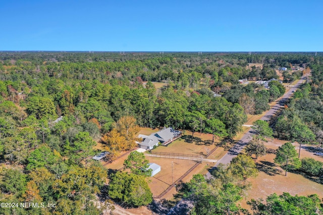 4076 Maggie Ln, Middleburg, FL 32068 - photo 48