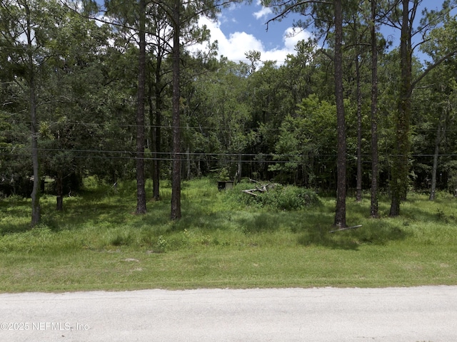 8879 Johnson Ct, Jacksonville, FL 32219 - photo 8